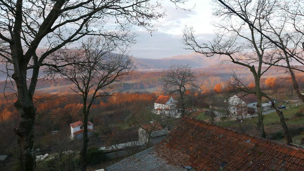 Apartments Cvitini Dvori Garjak Vrlika Exterior foto